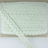 Cotton lace scallop 20mm/1m yellow and mint 353