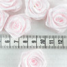 Satin Rose 30mm No. 241