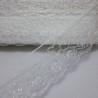 Iridescent lace 43 mm / 1 m or 50 m 330