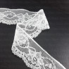 Elastic Lace 43mm /1m 3038