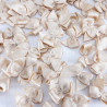 Decorative Beige Bow 10 or 100 pcs 254