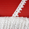 Lace ribbon 20mm/1 or 25m 3066
