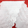 Lace 110 mm/1 metre English embroidery 2571