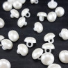 Pearl button 10mm/10 pcs 1874