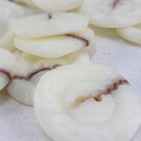 Guzik poliestrowy 25mm/10 lub 100szt 3295