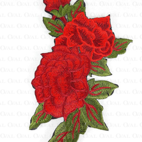 Thermo application 1798