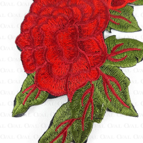 Thermo application 1798