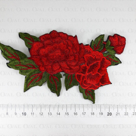 Thermo application 1798