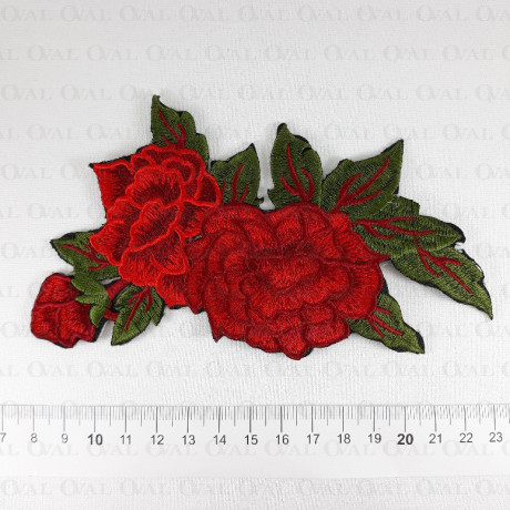 Thermo application 1798