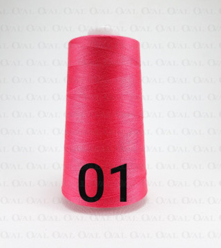 Nici overlokowe kol 01 nr 3417