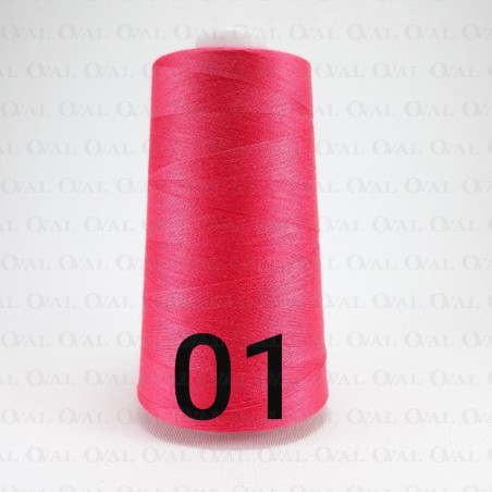 Nici overlokowe kol 01 nr 3417