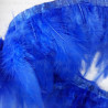 Feathers on ribbon cornflower 13cm/1y no. 3432