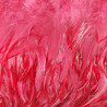 Feathers on burgundy tape 13cm/1y no. 3435