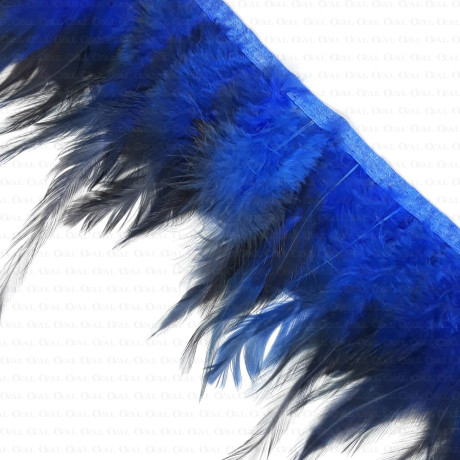 Pióra na taśmie chaber