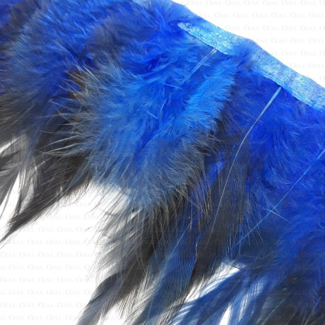 Pióra na taśmie chaber