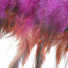 Feathers on tape 13cm/1y amaranth 3438