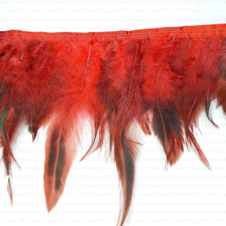 Pióra na taśmie czerwono-czrne