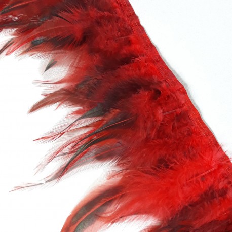 Pióra na taśmie czerwono-czrne - 17977