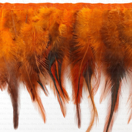 Pióra na taśmie rude