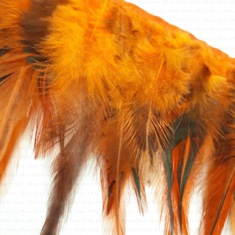 Pióra na taśmie rude