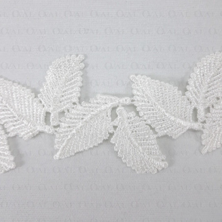 Lace 50mm /1y white cream 3501