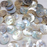 Natural shell button J 20.3mm/200pcs 752