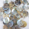 Natural shell button J 20.3mm/200pcs 752