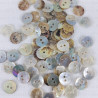 Button made of natural shell J 10.2mm/200pcs 3733