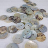 Button made of natural shell A 11.5mm/200pcs 3735