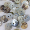 Button made of natural shell J 10 pcs various sizes 749