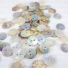 Button made of natural shell J 10 pcs various sizes 749