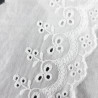 Lace 90mm/1y English embroidery 3097