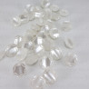 Pearl button 12.5 mm / 10 pcs 3886
