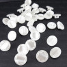 Pearl button 12.5 mm / 10 pcs 3886