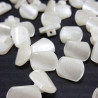 Button 15mmx11mm/144pcs 3903