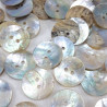 Natural shell button J 15.2mm/200pcs 4056