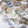 Natural shell button J 15.2mm/200pcs 4056