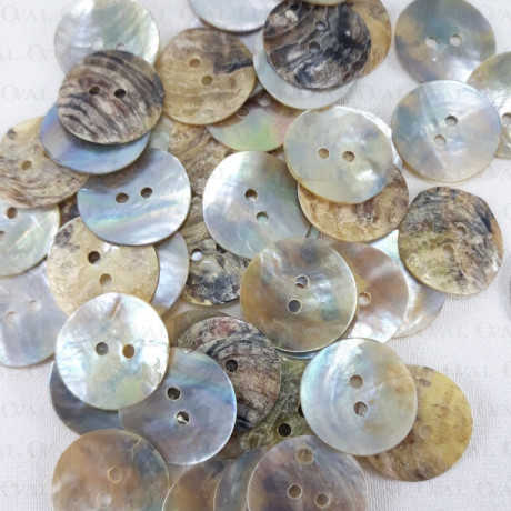 Natural shell button J 15.2mm/200pcs 4056