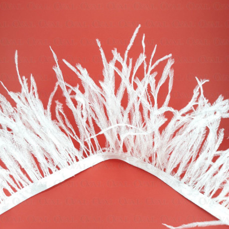 Feathers on ribbon white 11cm /10y 4088