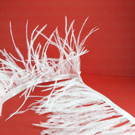 Feathers on ribbon white 11cm /10y 4088
