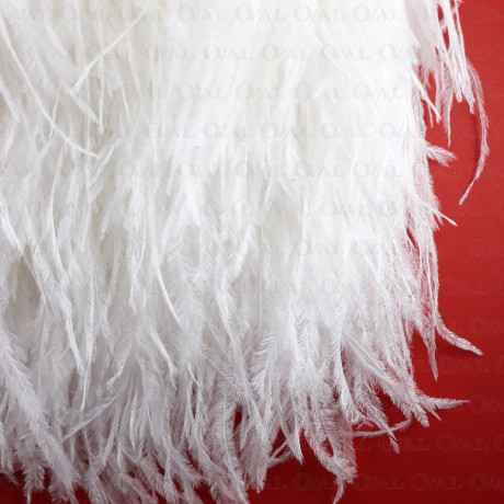 Feathers on ribbon white 11cm /10y 4088