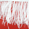 Feathers on ribbon white 11cm /10y 4088