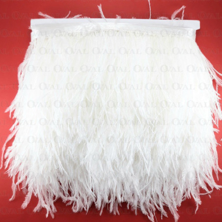 Feathers on ribbon white 11cm /10y 4088