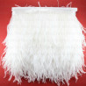 Feathers on ribbon white 11cm /10y 4088