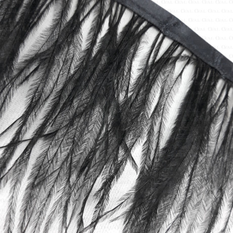 Feathers on tape 11cm/10 y 4089