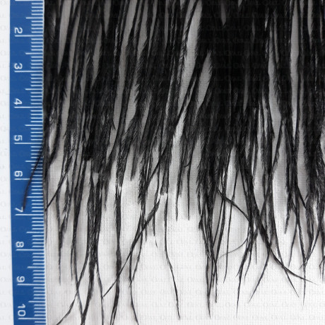 Feathers on tape 11cm/10 y 4089