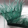 Feathers on tape green 10cm /1y 4126