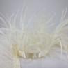 Feathers on a tape 11cm/1y 3569