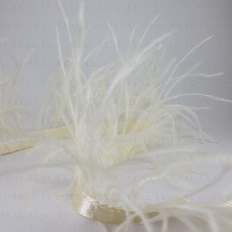 Pióra na taśmie szampańskie 11cm/1y   3569