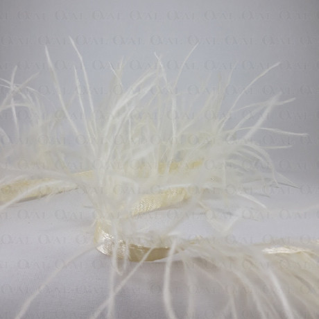 Feathers on a tape 11cm/1y 3569